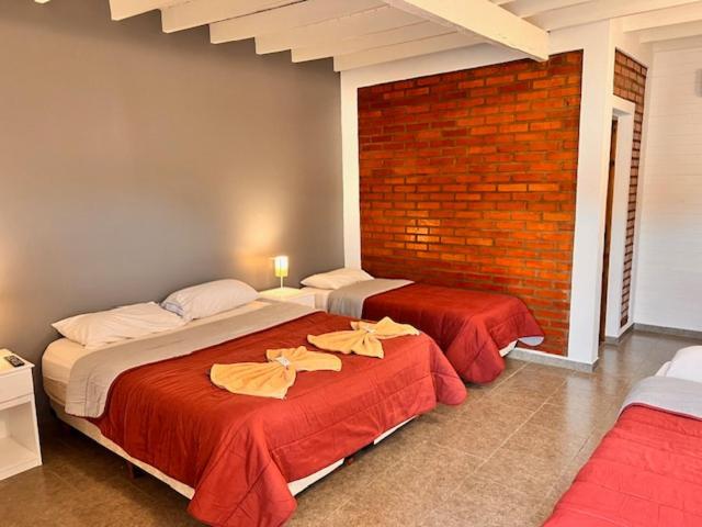 Alma Pura Hotel 푸에르토이과수 외부 사진
